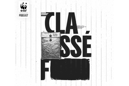 Montage, création de sound design, mixage et mise aux normes de diffusion