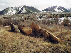 dolphin rocks
