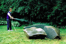 river stone.jpeg