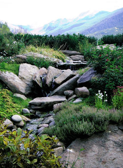 up the pass