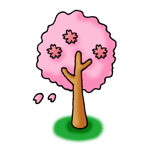 sakura咲く