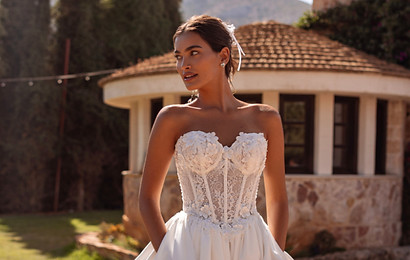 8305_DEMETRIOS