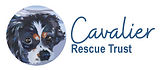 cavalier-Logo.jpg