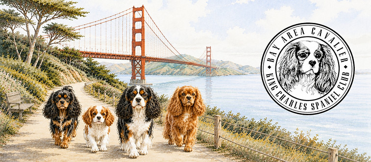 Bettter Banner_edited.jpg