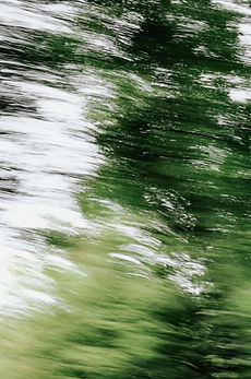 greenery of trees in a blur to amplify the message of artist's letter