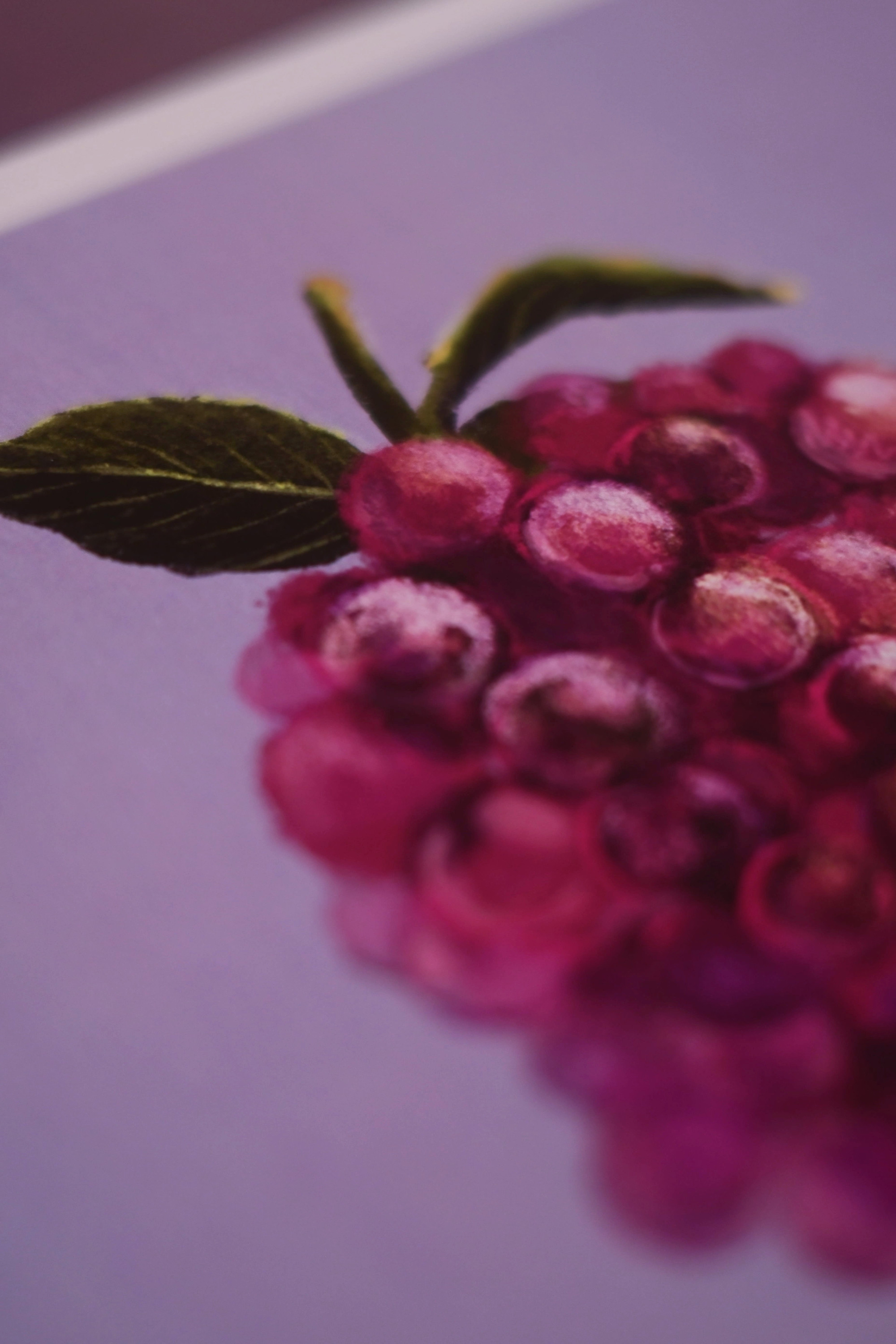 Dream Berries Art Print