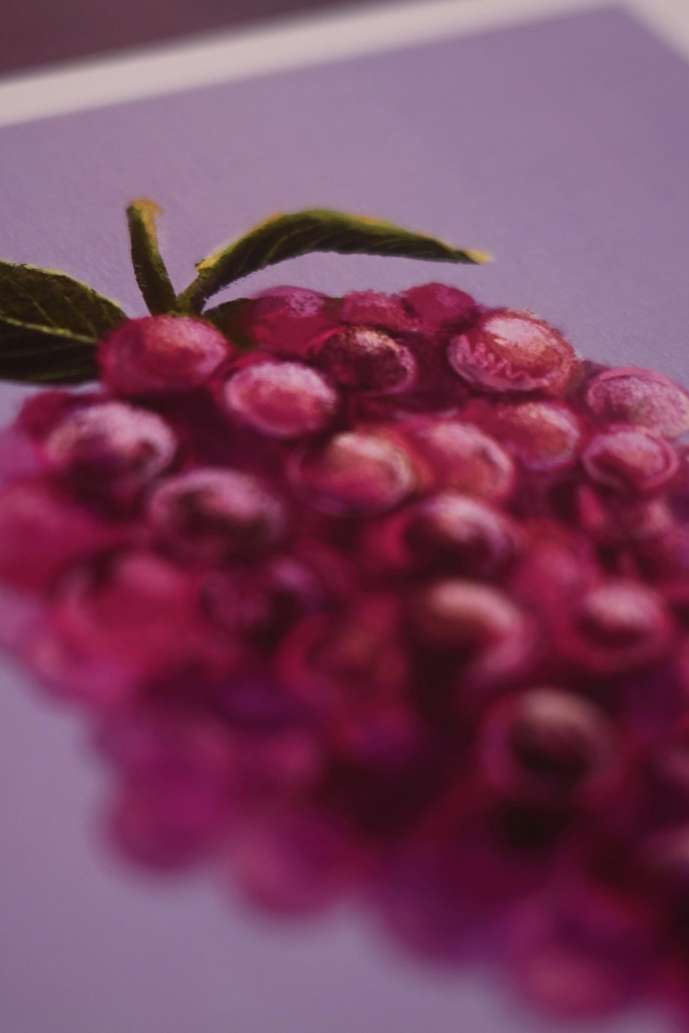 Thumbnail: Dream Berries Art Print