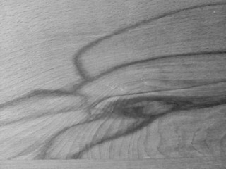 Das Auge