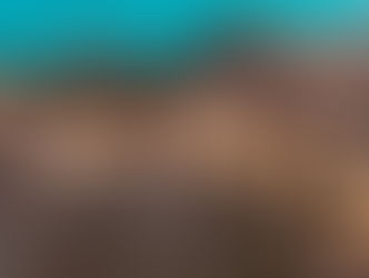 1605 km, 16 timer bak rattet, 2 hotellovernattinger, Kiel-ferje, 2 dieseltanker, avgifter til eksport/import. Veien fra treet til kaldpresset extra virgin olivenolje på spisebordet er