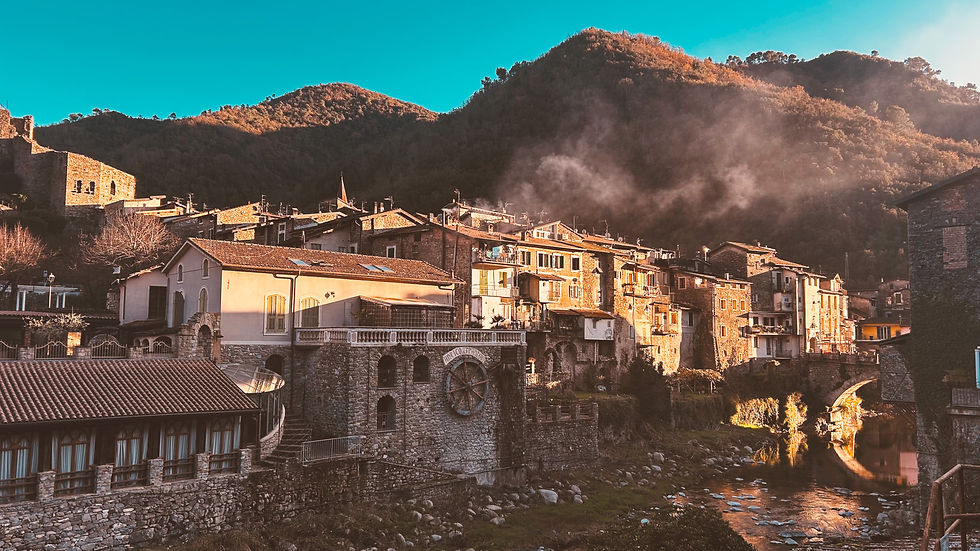 1605 km, 16 timer bak rattet, 2 hotellovernattinger, Kiel-ferje, 2 dieseltanker, avgifter til eksport/import. Veien fra treet til kaldpresset extra virgin olivenolje på spisebordet er