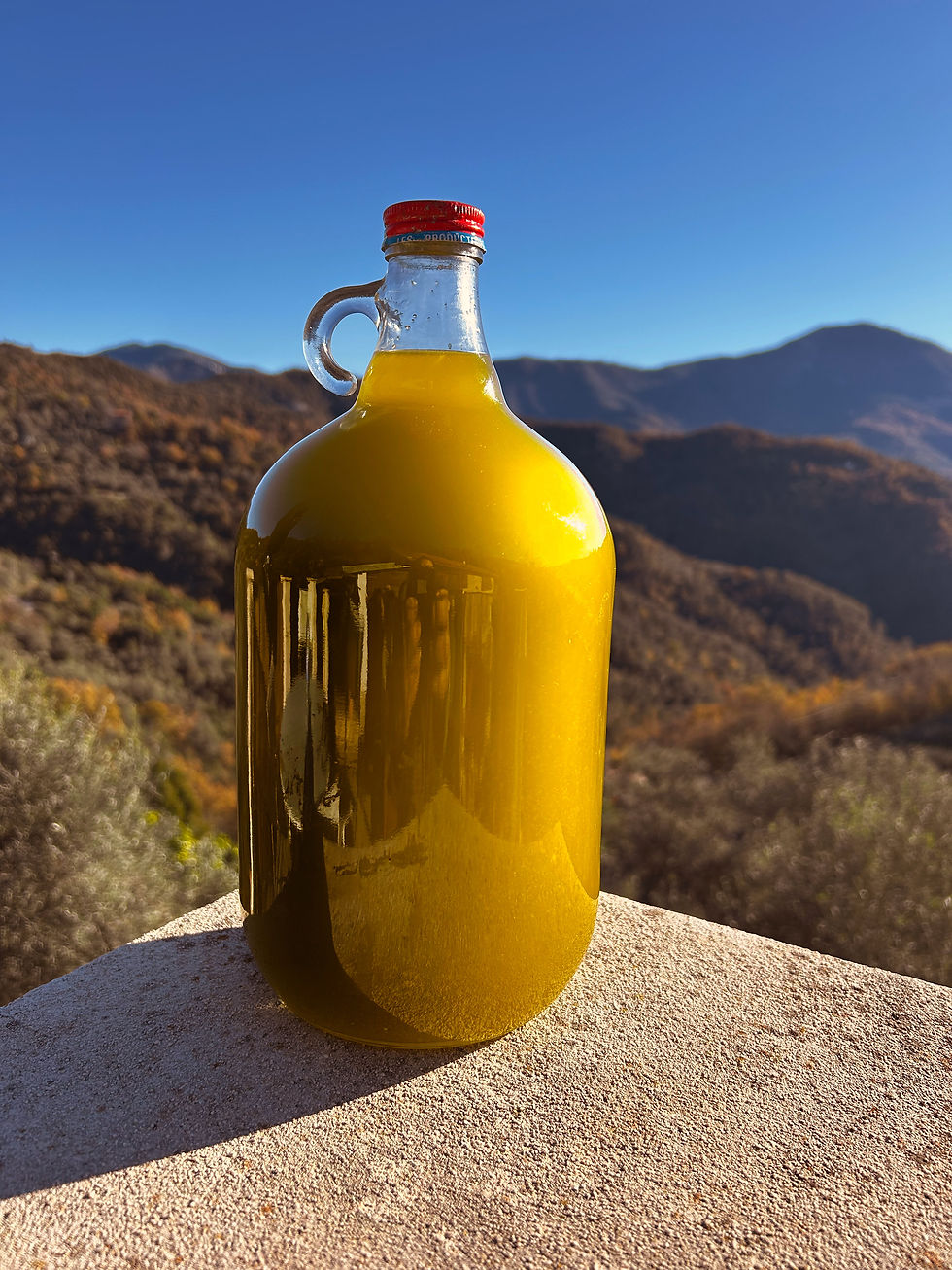 Freshly pressed! The first oil is bottled. It will be stored here in Italy for our own enjoyment.