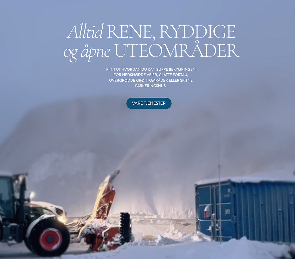 Forsiden til vår nye nettside