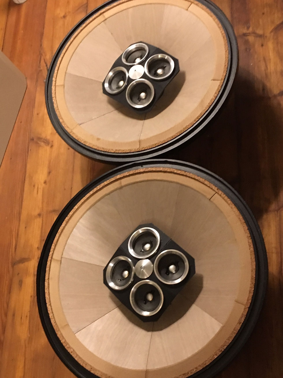 18" woodmonitor with tweeters