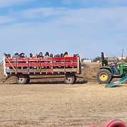 Hay Ride Circle2.jpg