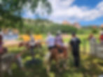 PONY CARROUSEL