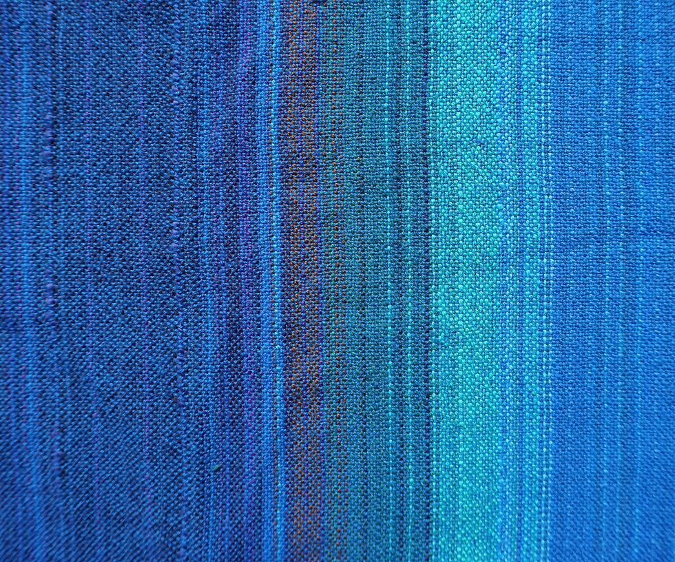 Blue Peacock