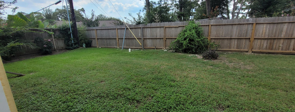 1423 Conrad Sauer, Houston - Backyard - left side