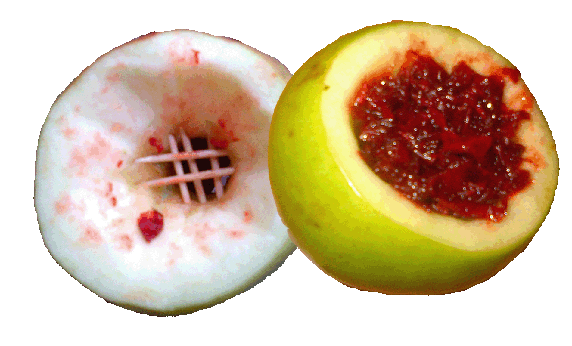 Jumeirah Shisha, appel, ananas, fruitkop, fruit, waterpijp, waterpijp huren, shisha huren, al fakher, hookah, festival, events, evenementen, jumeirah, khalil mamoon, dubbel appel, huren, kopen, tabak, fruittabak