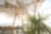 Beach Bar_edited.jpg