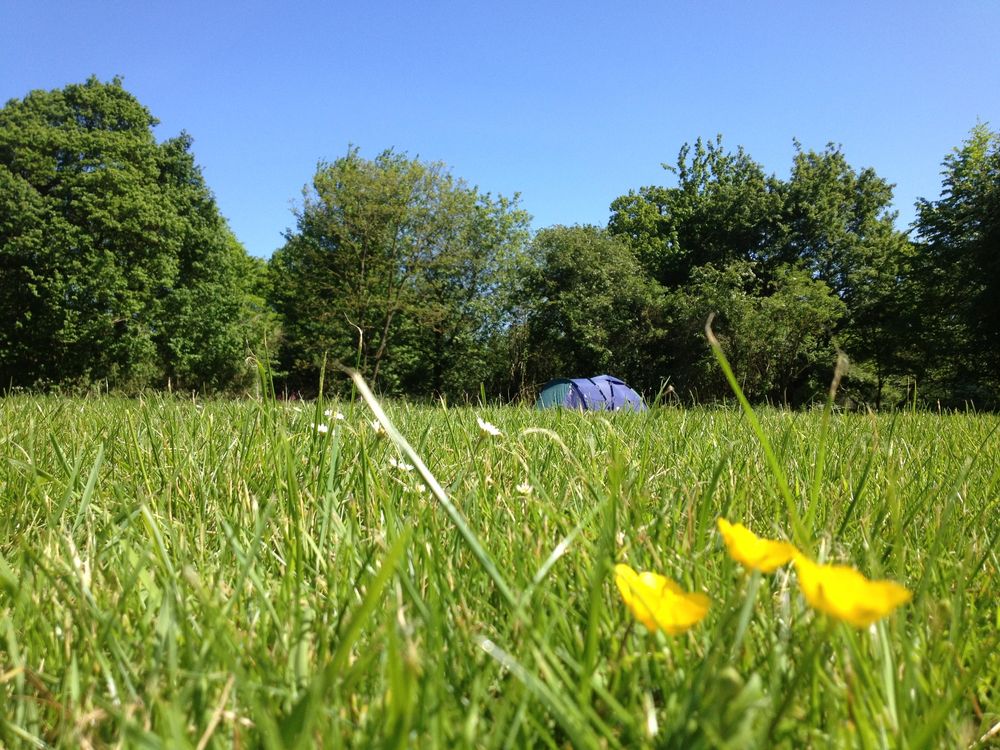 Swattesfield Campsite photo 2