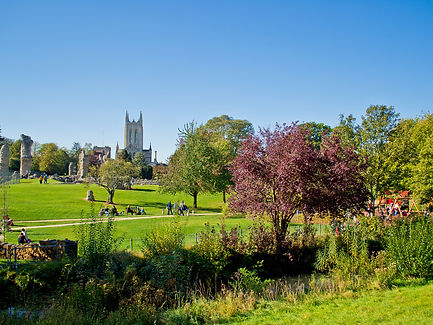 Bury St Edmunds abbey gardens in the summer with blue sky