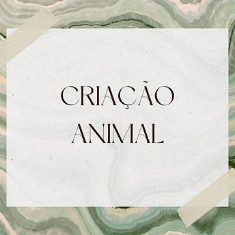 Métodos ALternativos (2).jpg