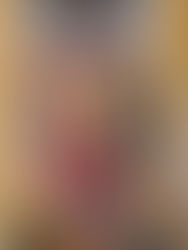 Live Stream Links to Mass for the Conception of the Blessed Virgin Mary 12/8