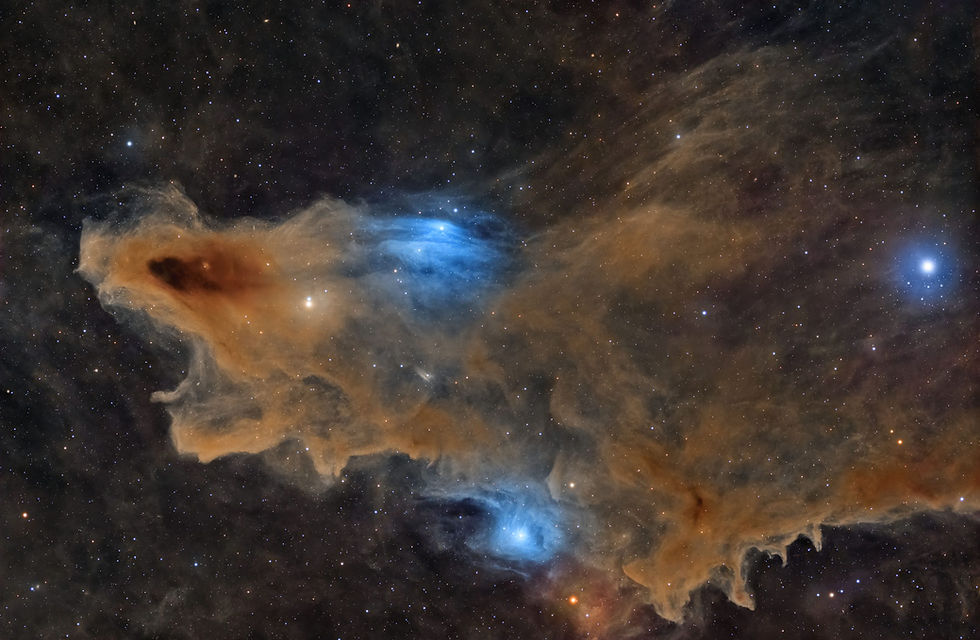 An image of the Shark Nebula, which is some 650 light-years away in the constellation Cepheus