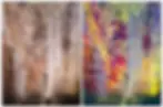 series of somewhat indistinct 10 red horizontal stripes painted on a cave wall 17,000 years ago