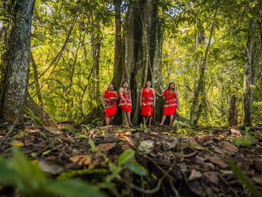 Indigenous women in traditional attire in a lush forest in Peru.