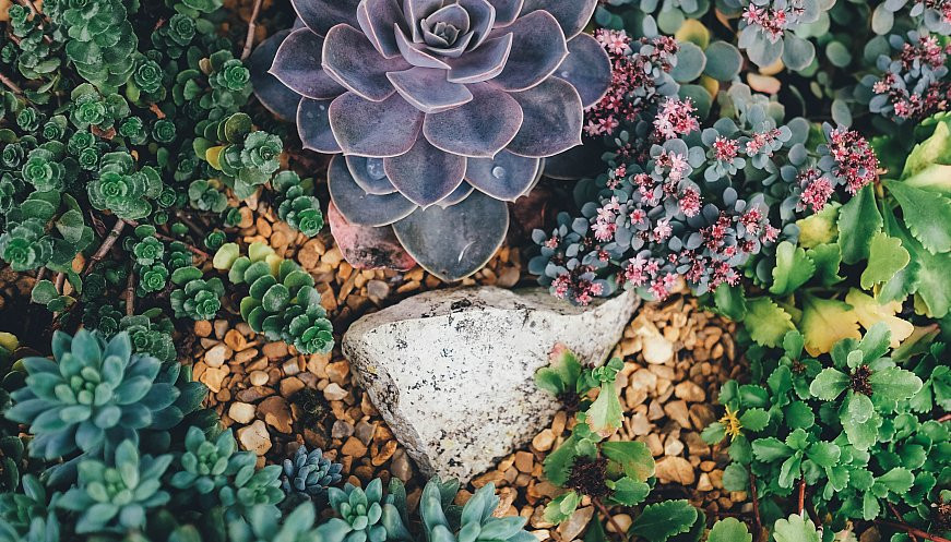 Garden flower bed