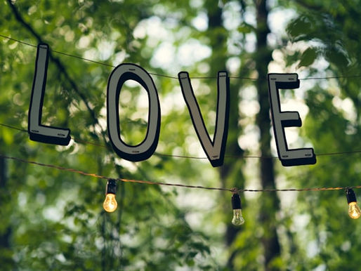 The letters LOVE hanging from a wire in a woodland setting