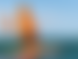 Autonomous Ocean Roving Saildrones