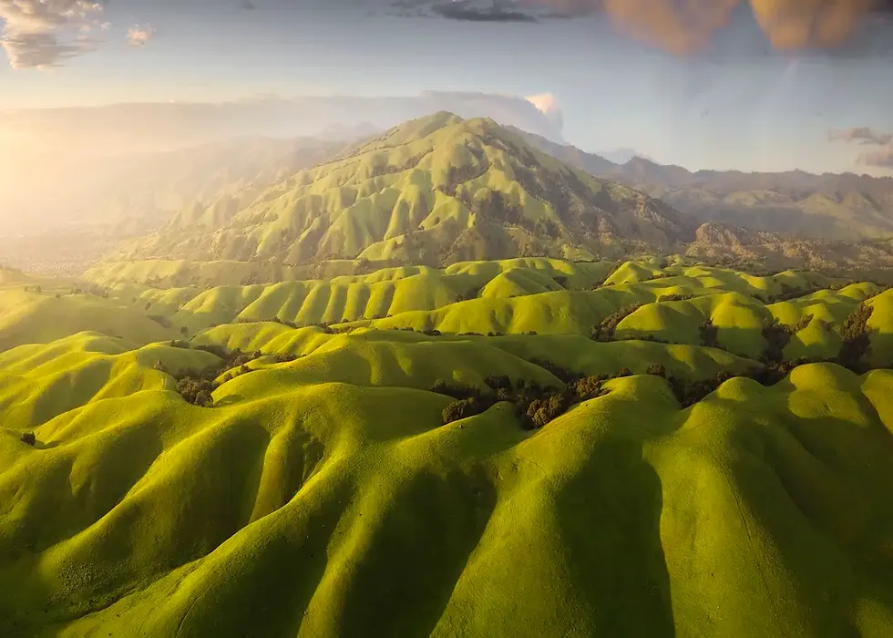 Aerial photo of the Diablo Range at its greenest after winter rains, highlighting smooth contours and flowing patterns