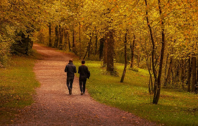 Two men walking and talking, along a work campus path