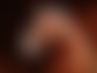 Brown horse in its stable