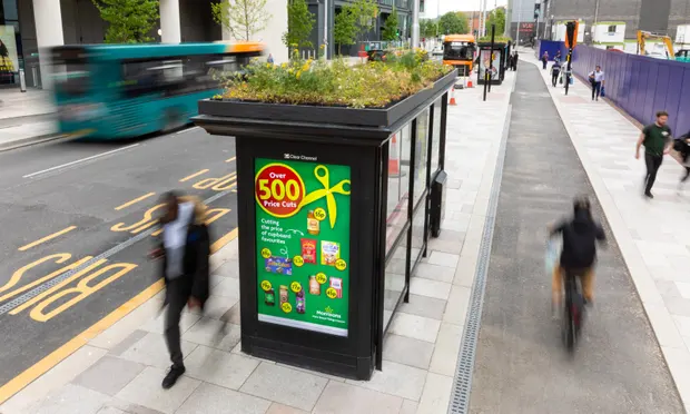 Bus stop with a roof planted with pollinator friendly flowers