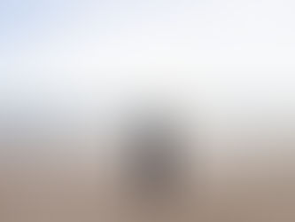 Need Your Own Invisibility Shield?