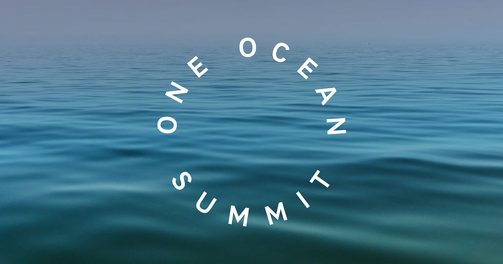 One Ocean Summit logo against a background of the ocean