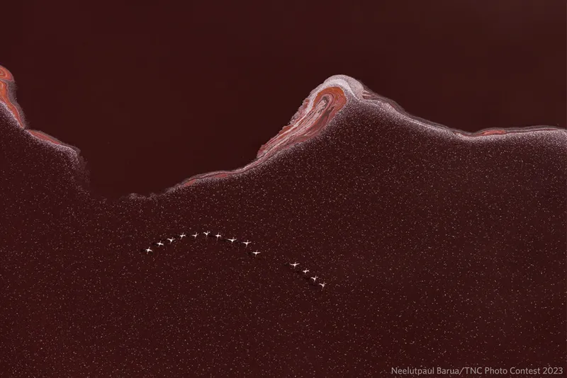 Lake Magadi provides a breathtaking backdrop as flamingoes fly over the lake in Kenya