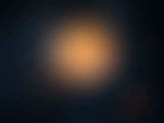 a single bird silhouetted against a setting sun