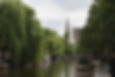 Regent's Canal, central London, lined by towering willow trees