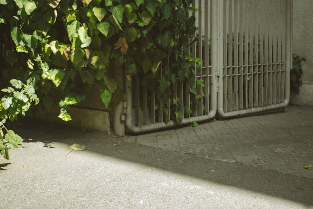 Set of aluminium garden gates