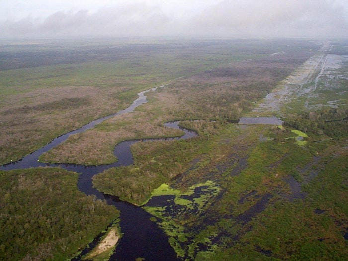 The Kissimmee River in Florida