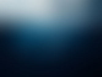 Humpback whale just below the ocean surface