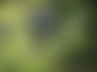 This Drone Just Won $5 Million XPrize Rainforest