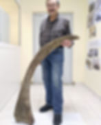 Woolly rhino horn