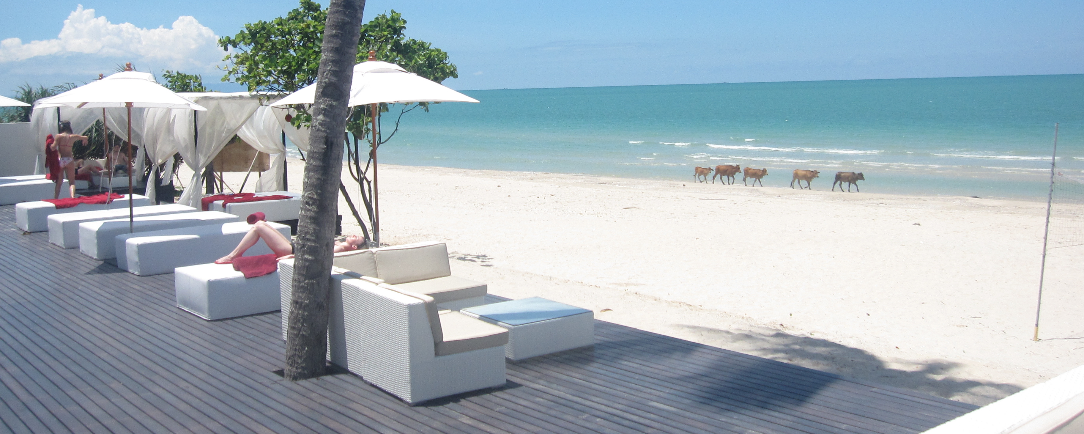 Aava Resort Spa Khanom Vita Brevis Travel