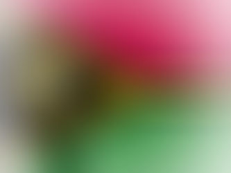 A Win for Climate Justice of Epic Proportions