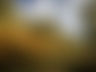 World’s First Rewilding Centre Opens